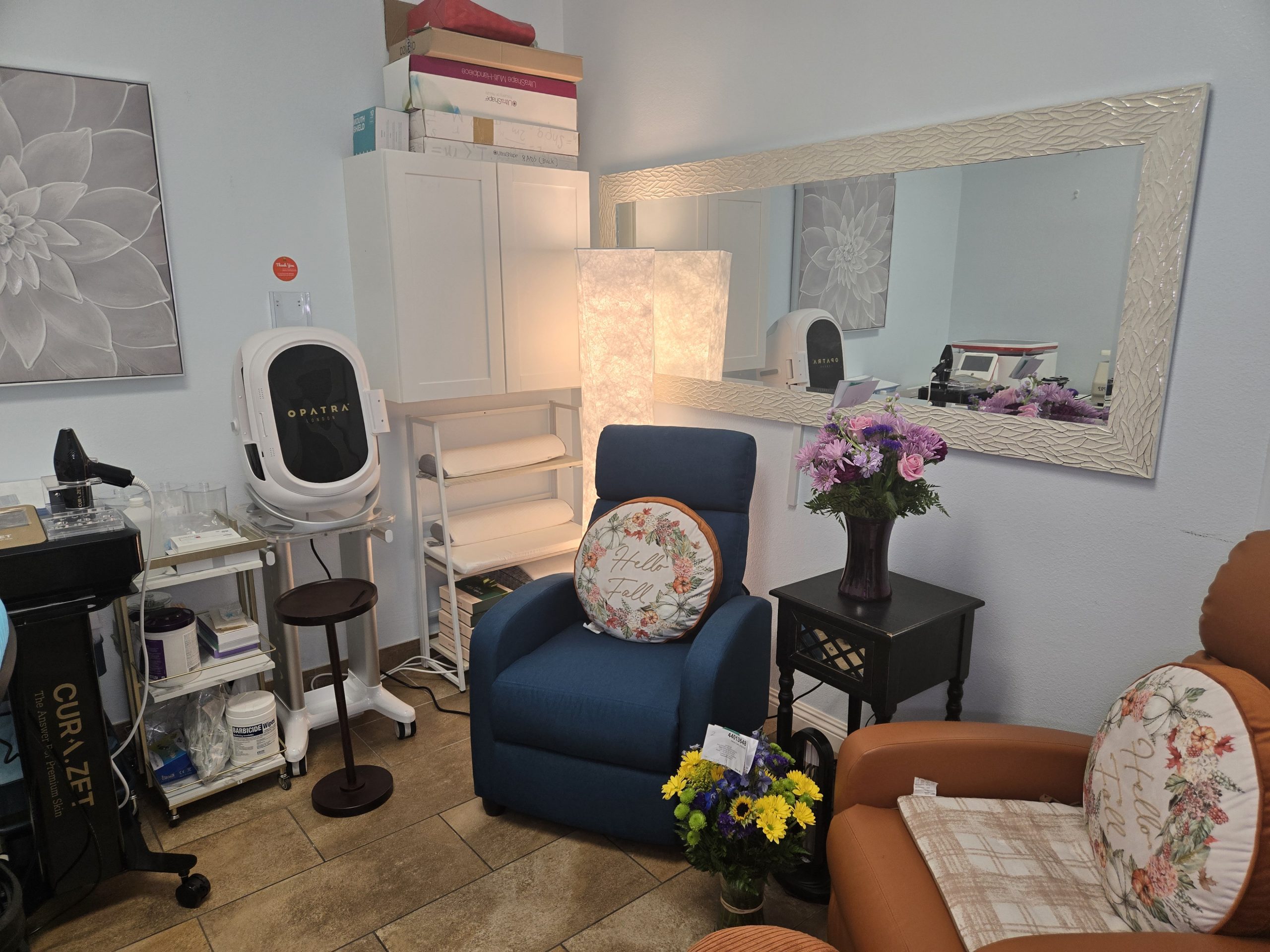 Hollywood Wellness Med Spa products and aesthetic technology